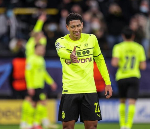 赛可以发现 赛可以发现