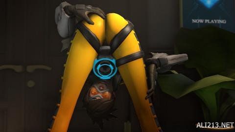 山东队依靠 山东队依靠