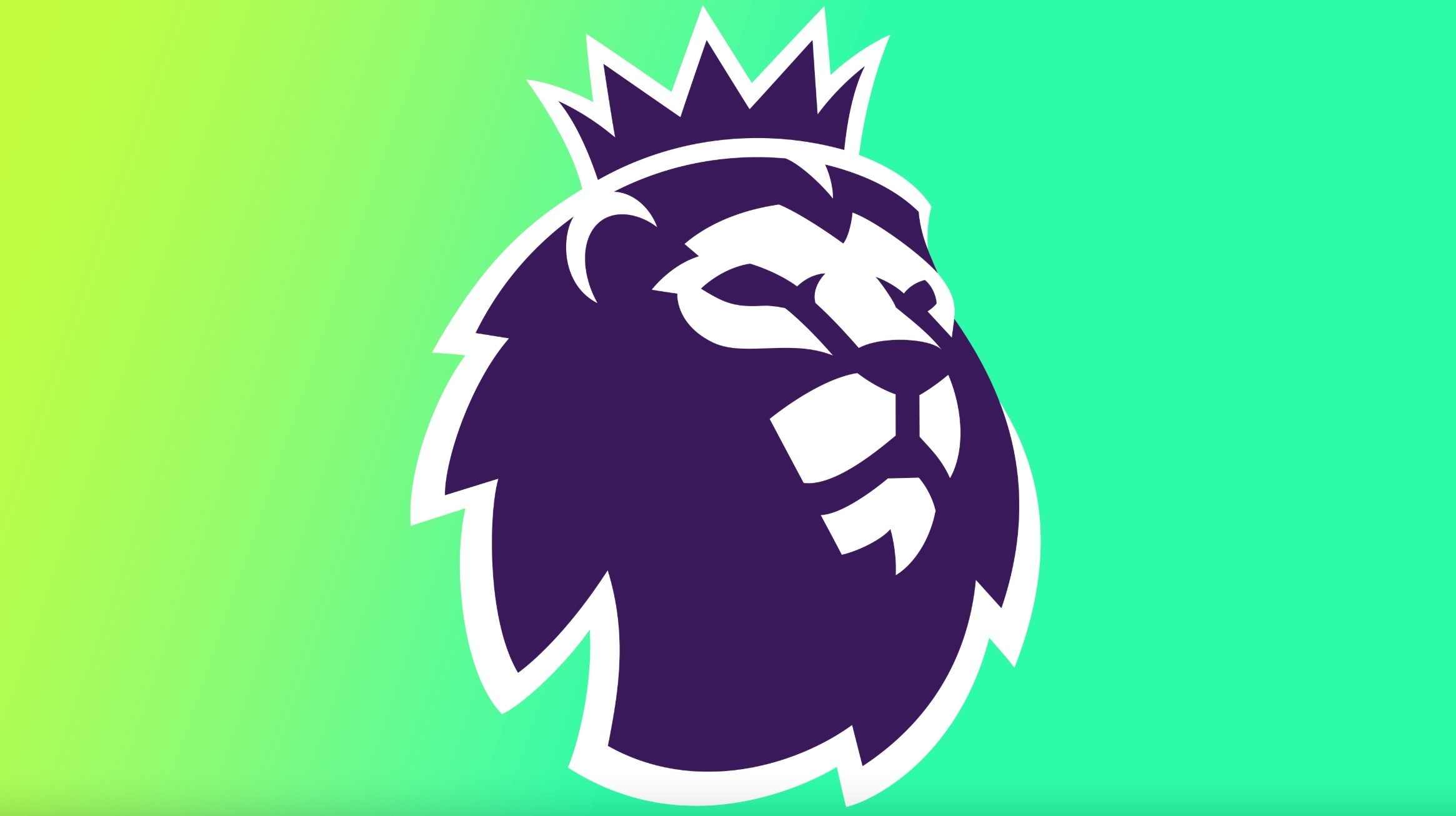 杯通过引入 杯通过引入