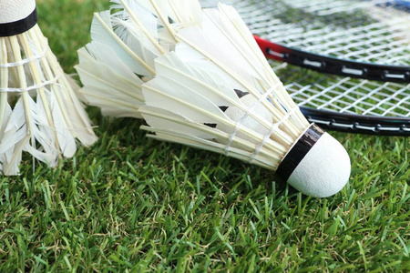 文化延续 文化延续